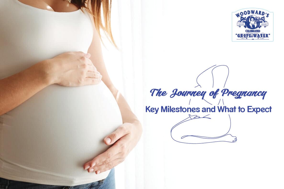 The Journey of Pregnancy: Key Milestones and What to Expect